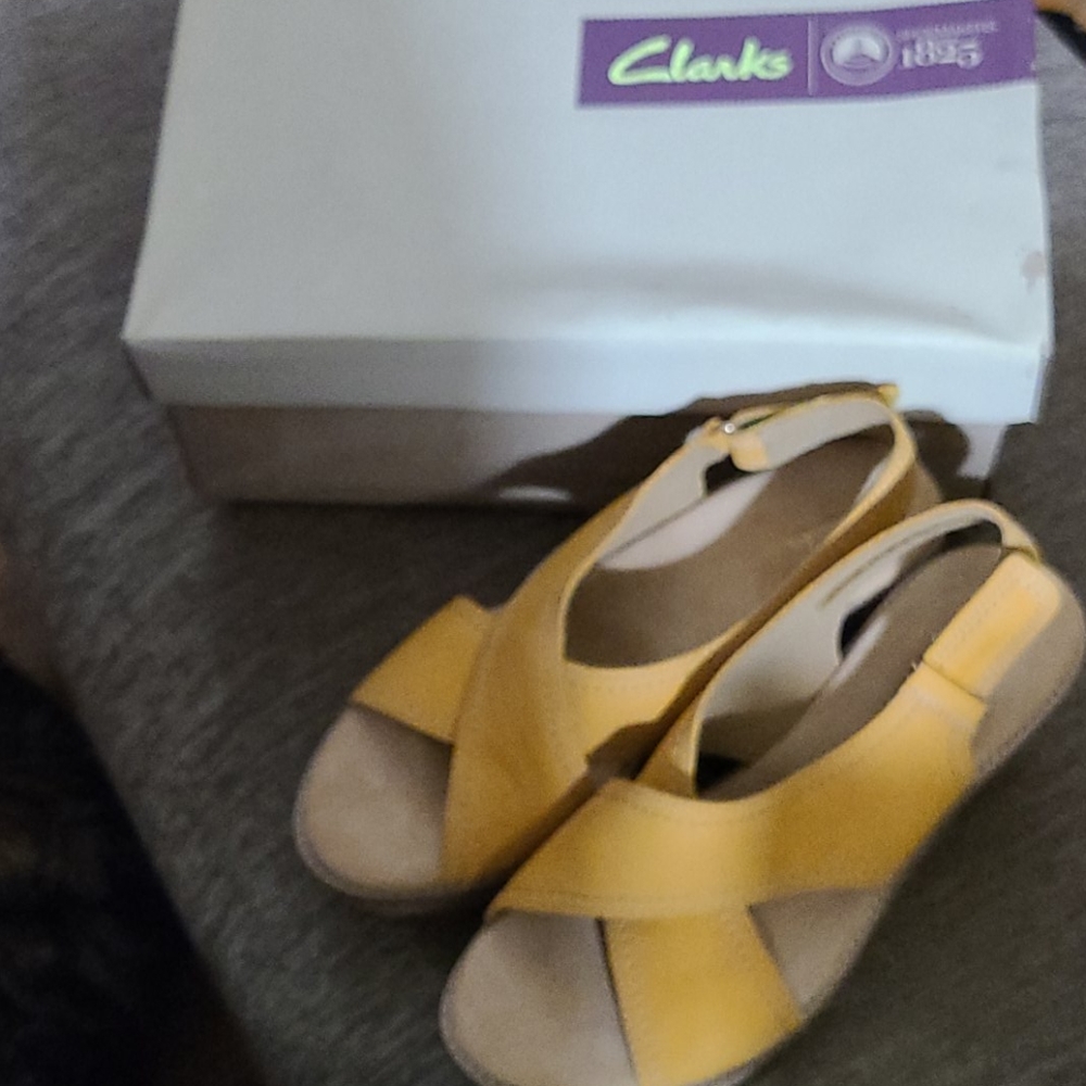 Clarks Astisan